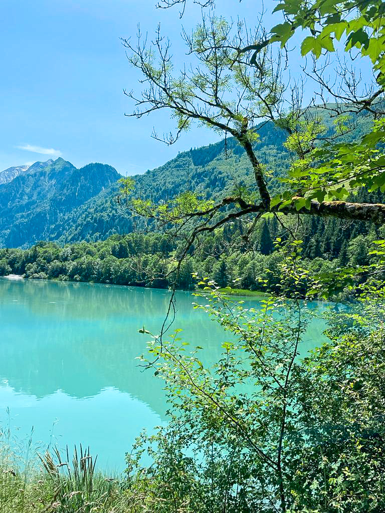 Blauw meer met bos en bergen in Oostenrijk.